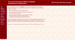 Desktop Screenshot of nagadi.co.in